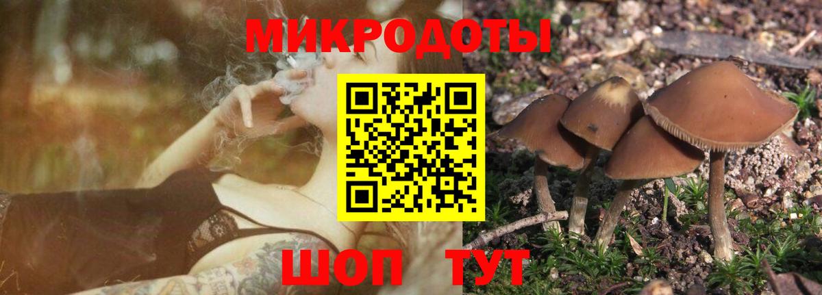 Знаменск  Галлюциногенные грибы Psilocybine cubensis  Вход с VPN 